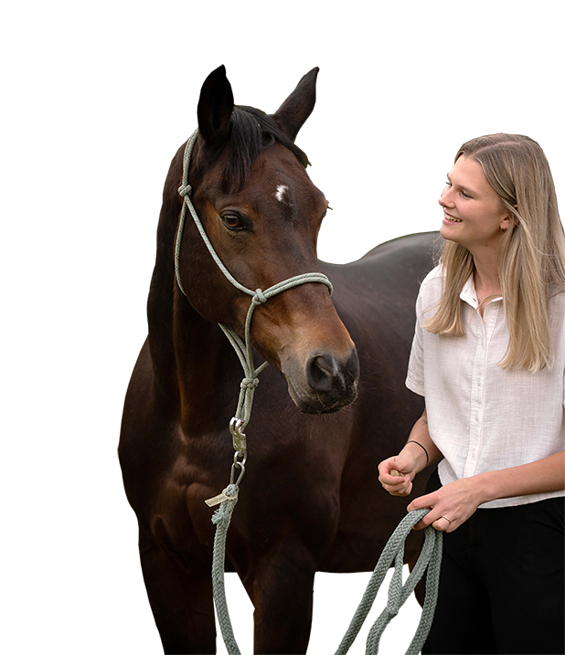 paard met samantha