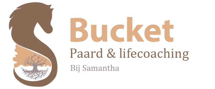 bucketcoaching logo